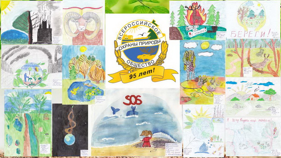 конкурс детского рисунка «95 лет Всероссийскому обществу охраны природы»