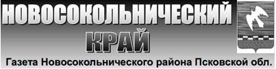 логотип Новосокольнический край