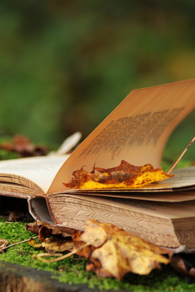 чтение осенью